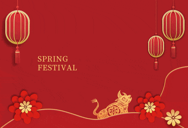 Spring Festival 2021.gif